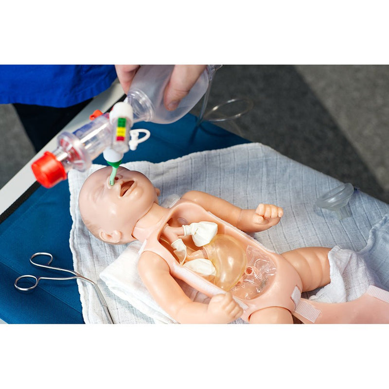 CLA Intubation Phantom of New-Born Baby