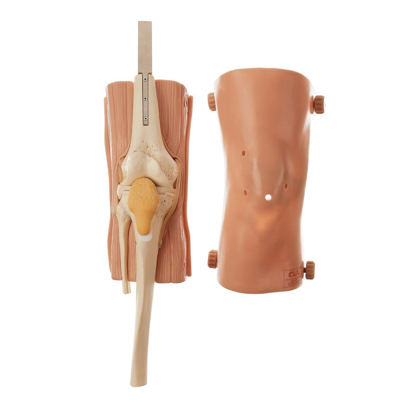 CLA Knee-Joint Arthroscopy Simulator with Case