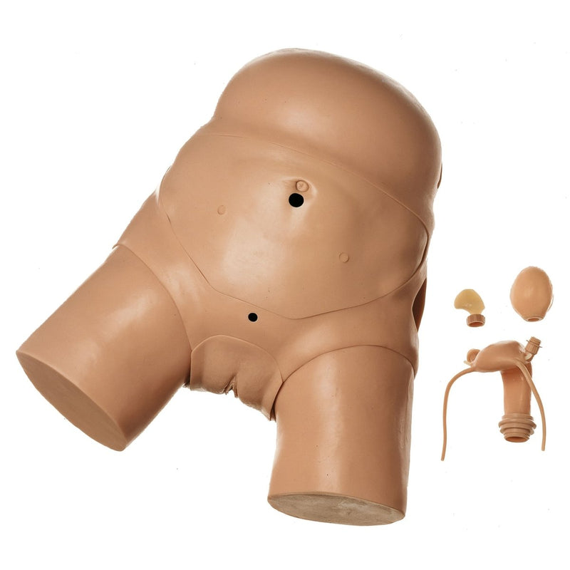 CLA Model for Pelviscopic Surgery