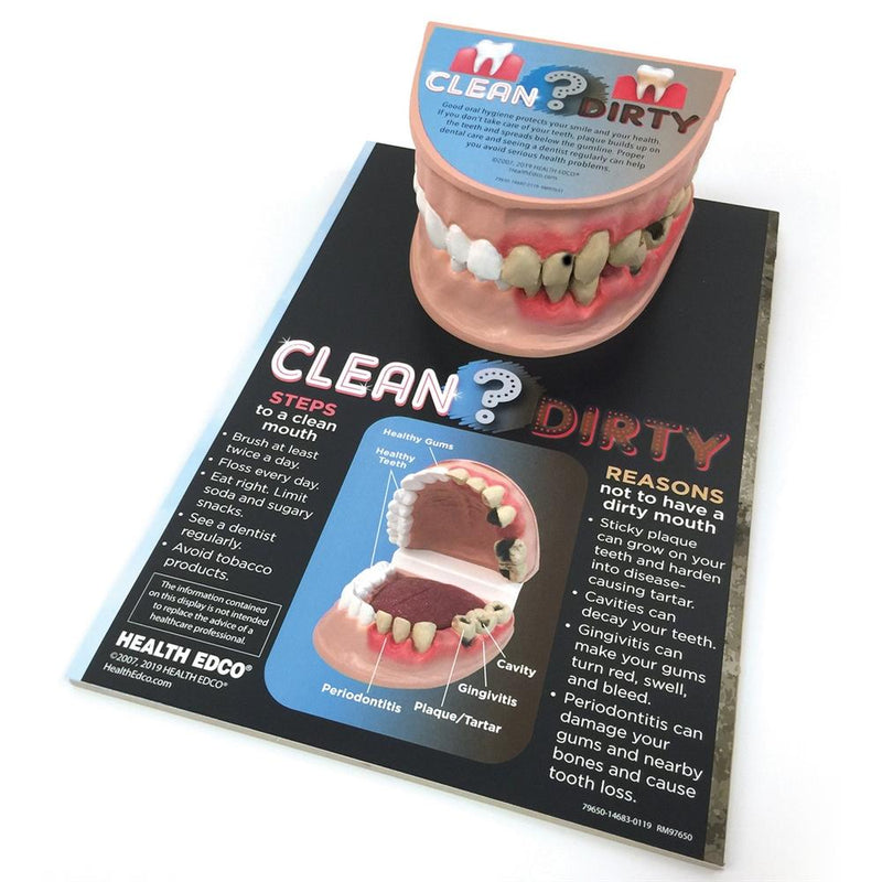 Clean Mouth-Dirty Mouth Display