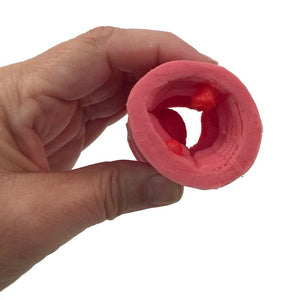 Colorectal Polyp and Cancer Model