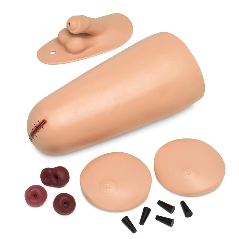CPR Susie® Advanced Patient Care Simulator, Medium