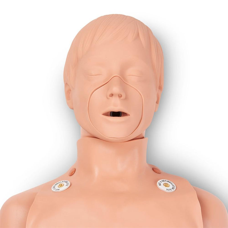 Defibrillation and CPR Trainer Manikin