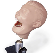 Dental Manikin Trainer without X-Ray Capability