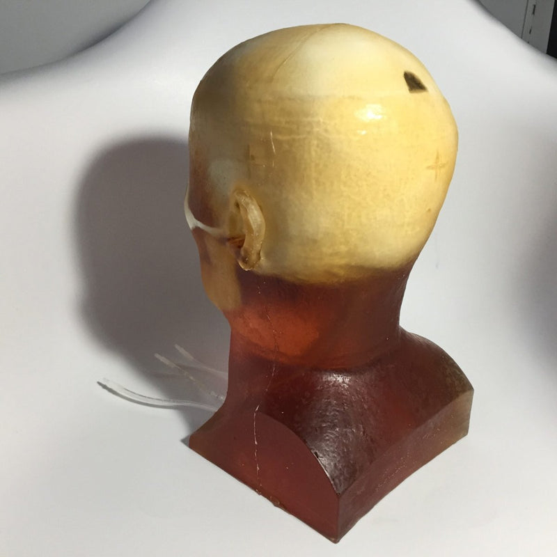 Dynamic Adult Head Phantom for Ultrasound, MRI and CT applications