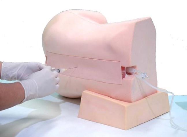 Simulators Anaesthesia Epidural Anesthesia Simulator | Kyoto Kagaku Epidural Anesthesia ...