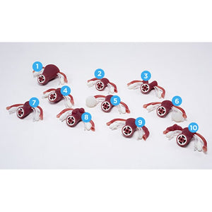 External Pathologies Uteri Package