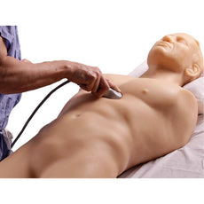FAST Exam Real Time Ultrasound Training Model, Transthoracic Only