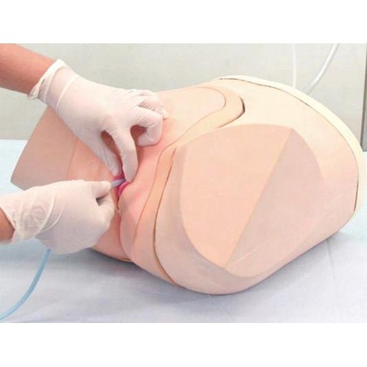 Female Catheterization and Enema Simulator