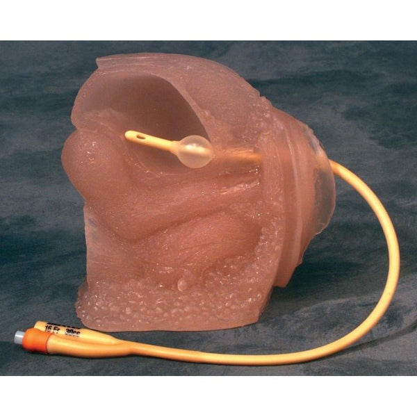 Catheterization Models Female Catheterization Model with Carrying Case – GTSimulators.com