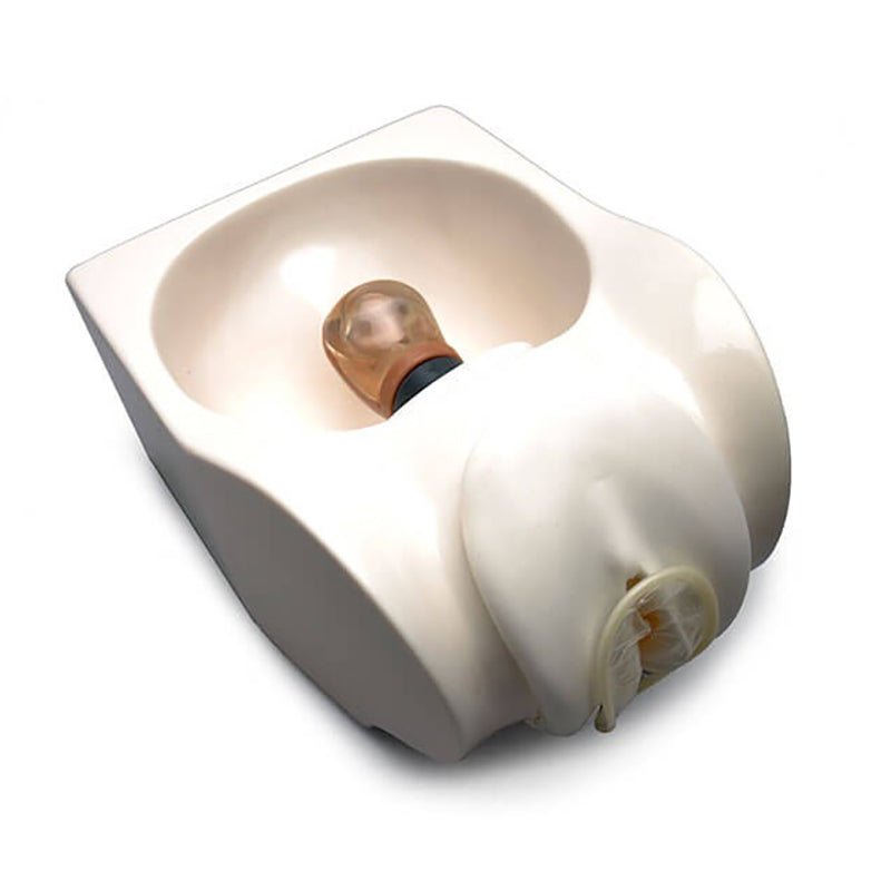Female Condom Training Model –