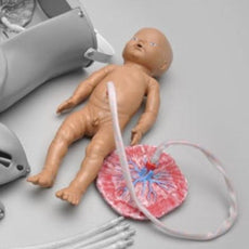 Fetal baby, Umbilical Cord, and Placenta for Vacuum Delivery