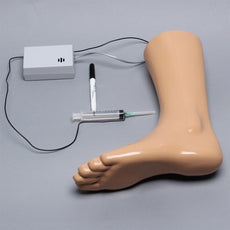 Foot and Ankle Injection Model