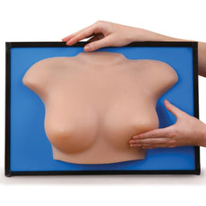 Group BSE-Breast Self-Examination Model, Beige
