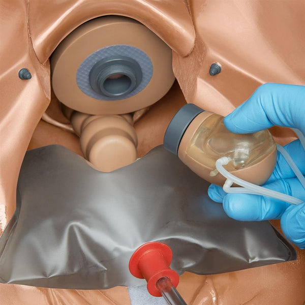 Gyne Sim Instrument GYN-AID Gynecologic Simulator, Dark – GTSimulators.com