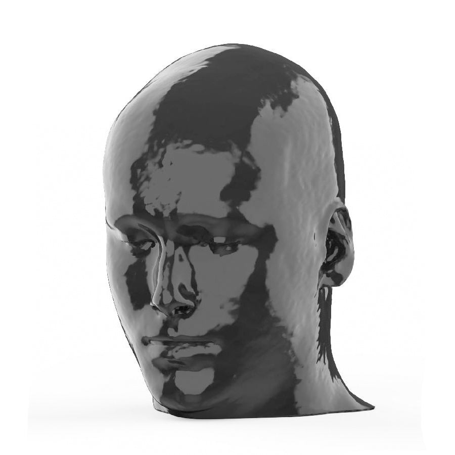 Head and Neck CTA Phantom AVM for CT Scan and X-Ray Training ...