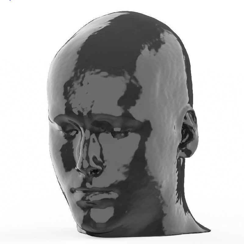 CTA AVM / lesion Head and Neck Phantom for CT Scan and X-Ray Training