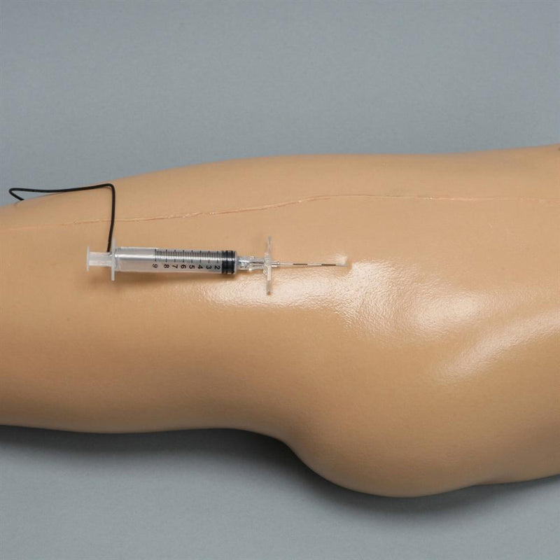 Hip Injection Model – GTSimulators.com