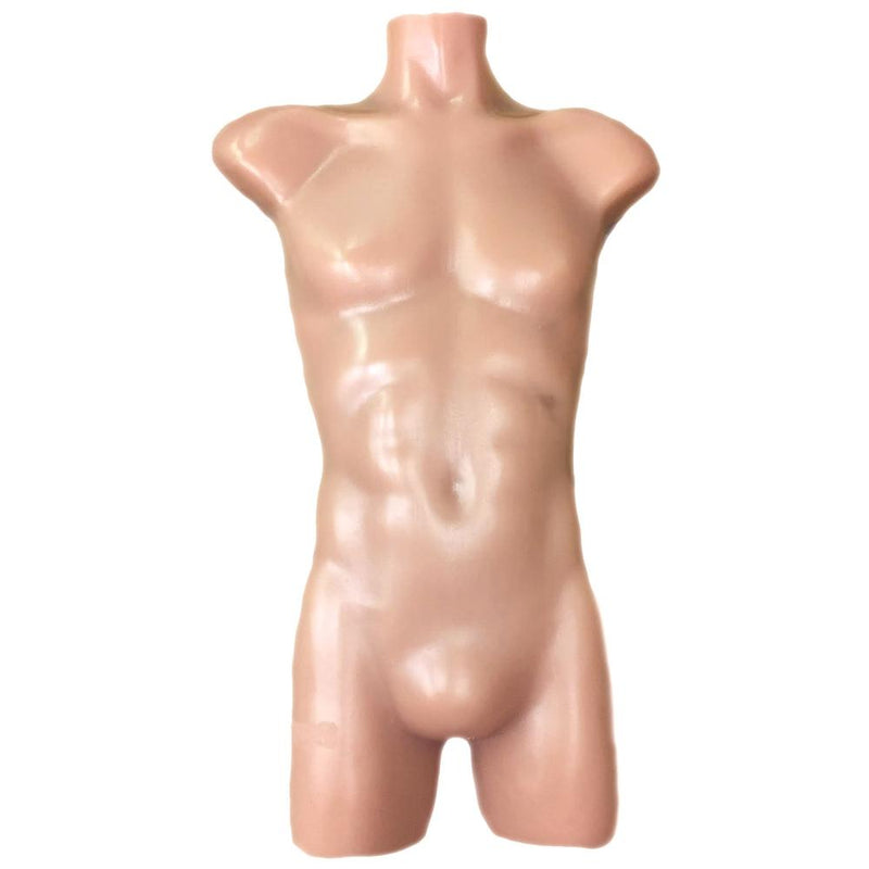 Adult Torso for X-Ray CT and Ultrasound, Opaque