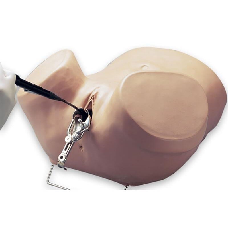 Hysteroscopy Simulator | Simulator for Hysteroscopy GTSimulators.com Hysteroscopy Simulator | Simulator for Hysteroscopy GTSimulators.com