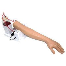 Intravenous Injection Training Arm Model - Adult