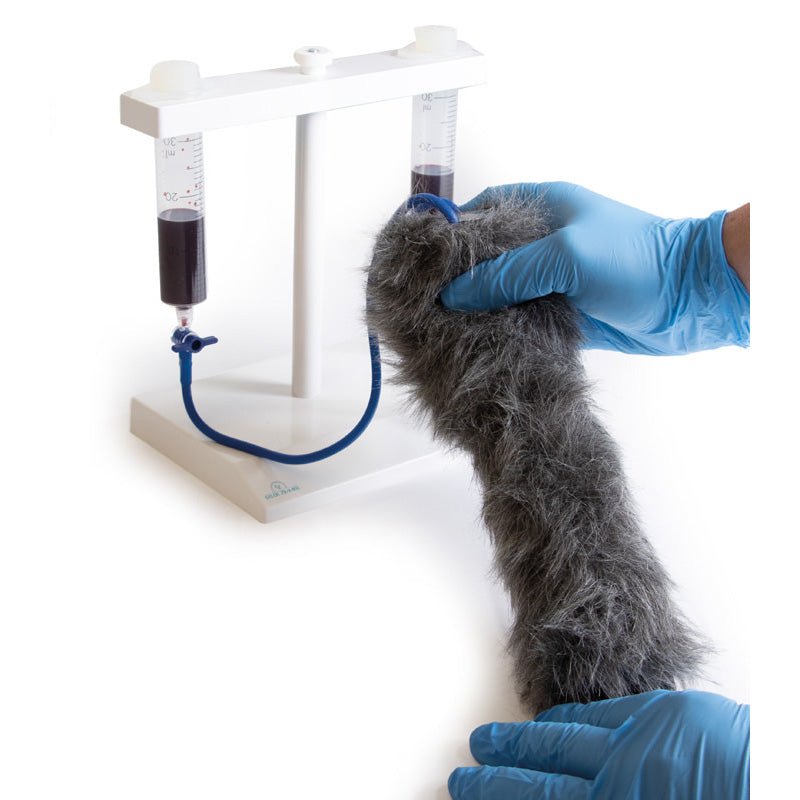 IV. Injection Leg Canine