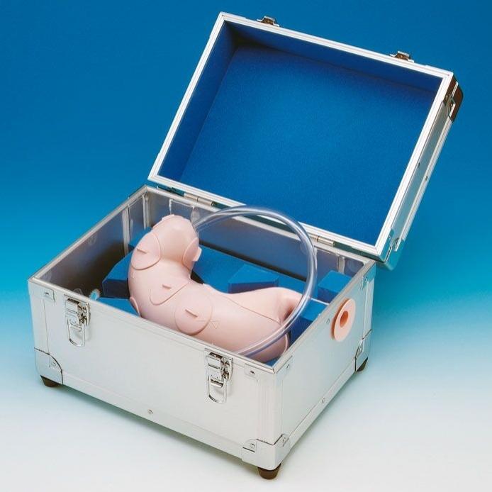 Koken ESD (Endoscopy Submucosal Dissection) Training Model with Case