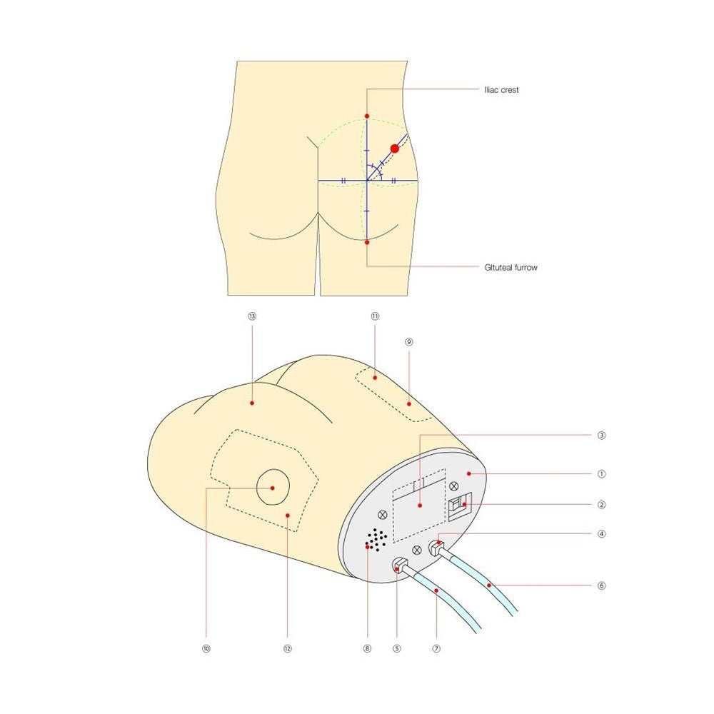 Buttock Injection Gluteal Im Injection Position