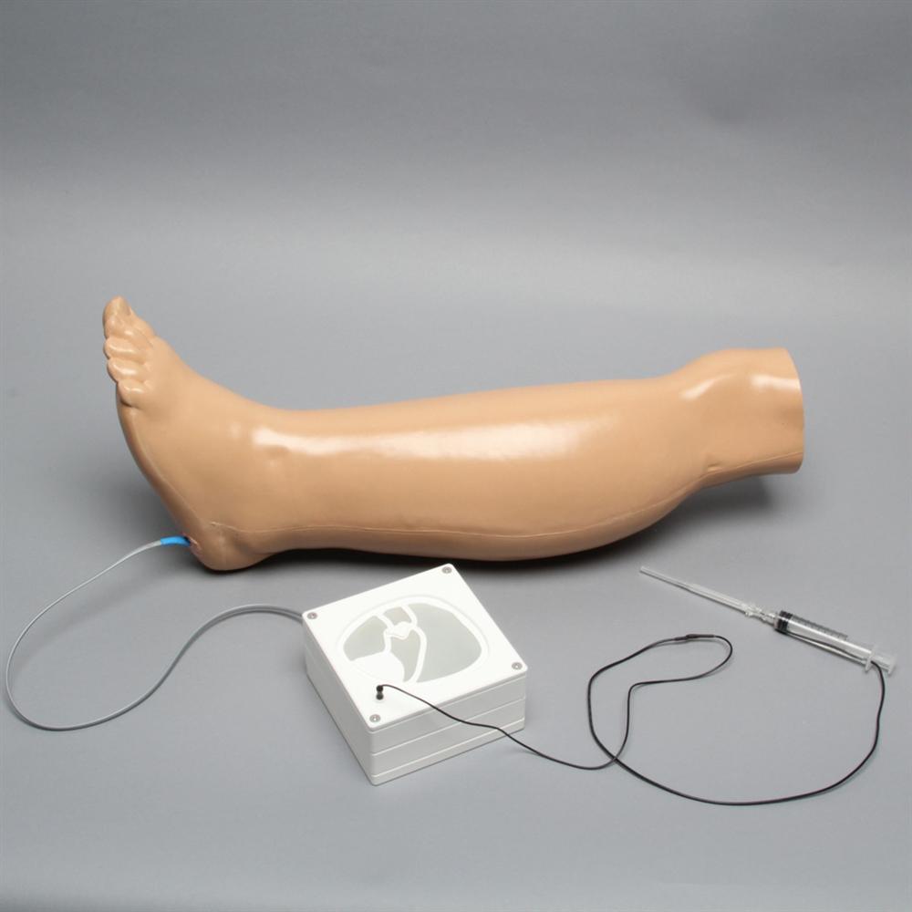 Lower Leg Compartment Syndrome Model GTSimulators.com Lower Leg Compartment Syndrome Model GTSimulators.com