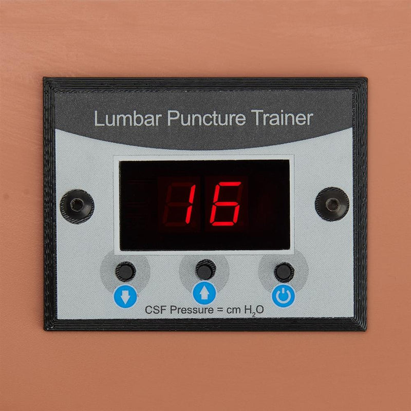 Lumbar Puncture Trainer, Dark