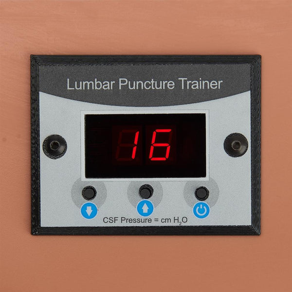 Lp Task Trainer Lumbar Puncture Trainer, Dark – GTSimulators.com