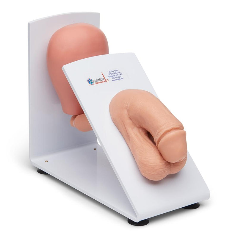 Male and Female Catheterization Training Set