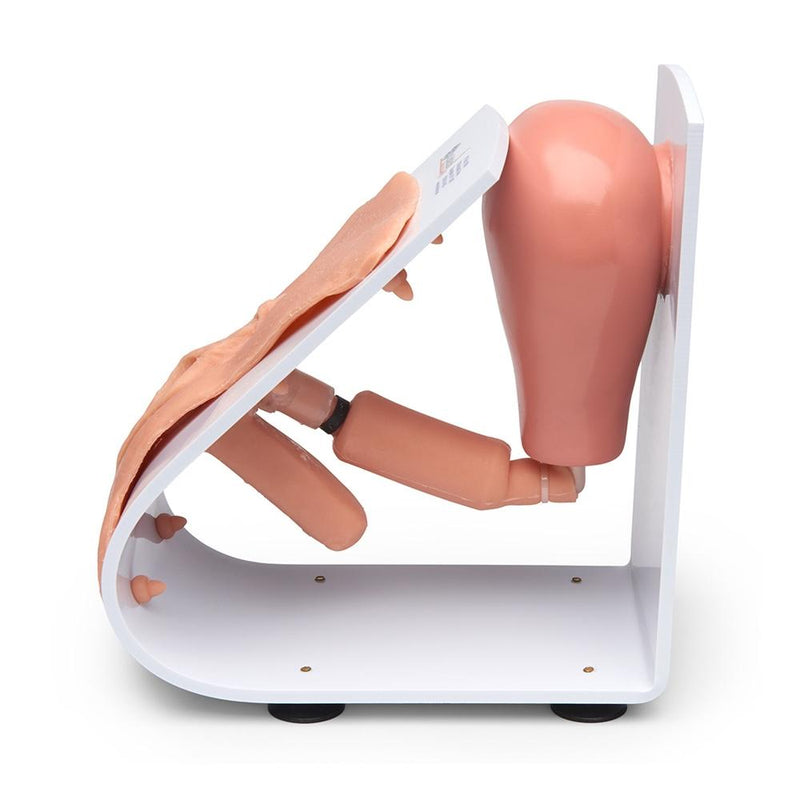 Male and Female Catheterization Training Set