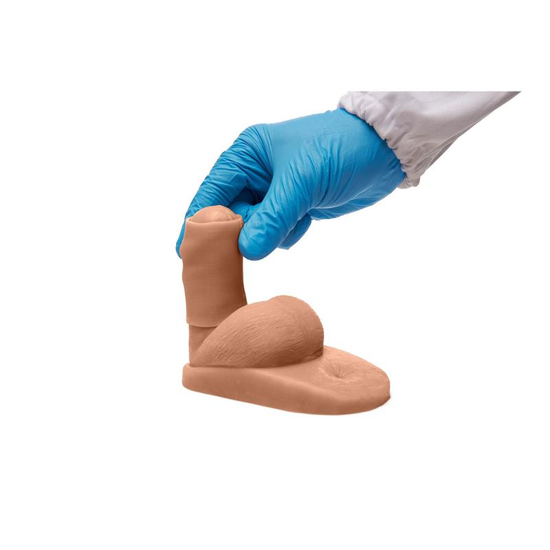 Male Urinary Catheterization Model, with Foreskin