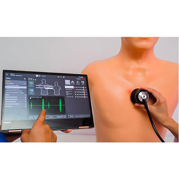 Task Trainer MATT Adult | MedVision Auscultation Task Trainer – GTSimulators.com