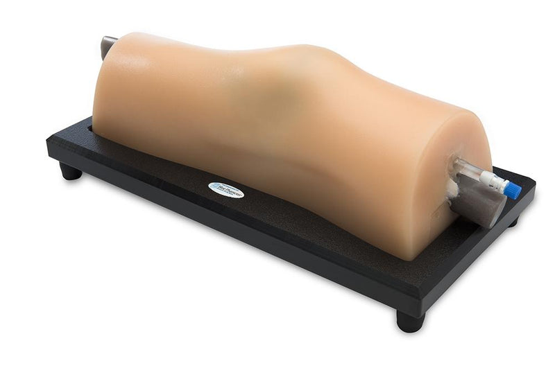Knee Training Model MSK Knee Ultrasound Training Model – GTSimulators.com