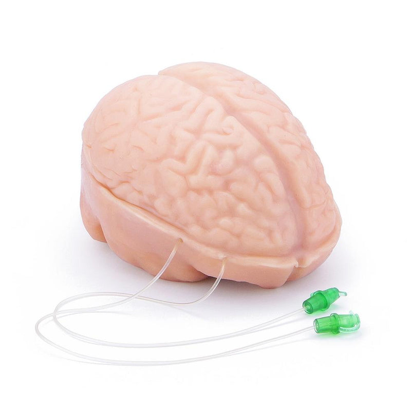 Neuroendoscopic Surgery Training Simulator