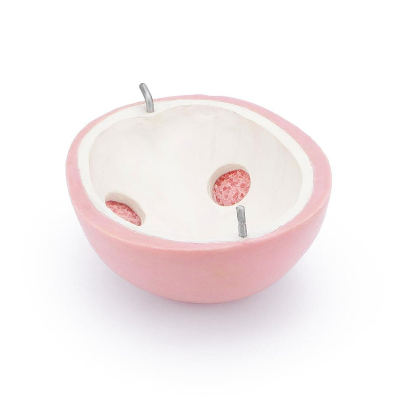 Neuroendoscopic Surgery Training Simulator