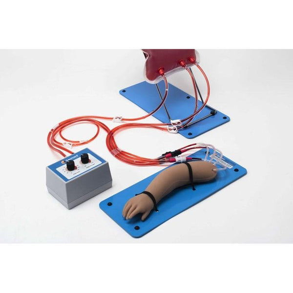 Newborn IV and Arterial Access Training Arm, Dark – GTSimulators.com