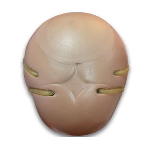 Newborn Temporal Venous Access Sites | Add-on option for S100