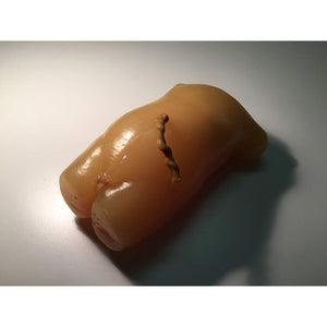 Newborn Torso for X-Ray CT and Ultrasound