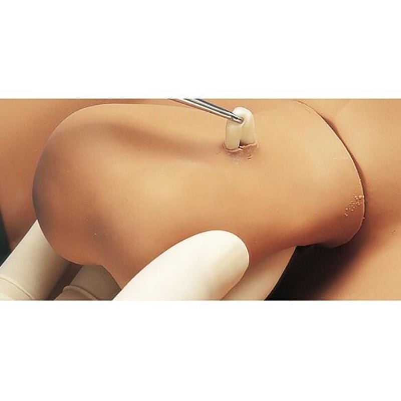 No Scalpel Vasectomy (NSV) Simulator, Medium