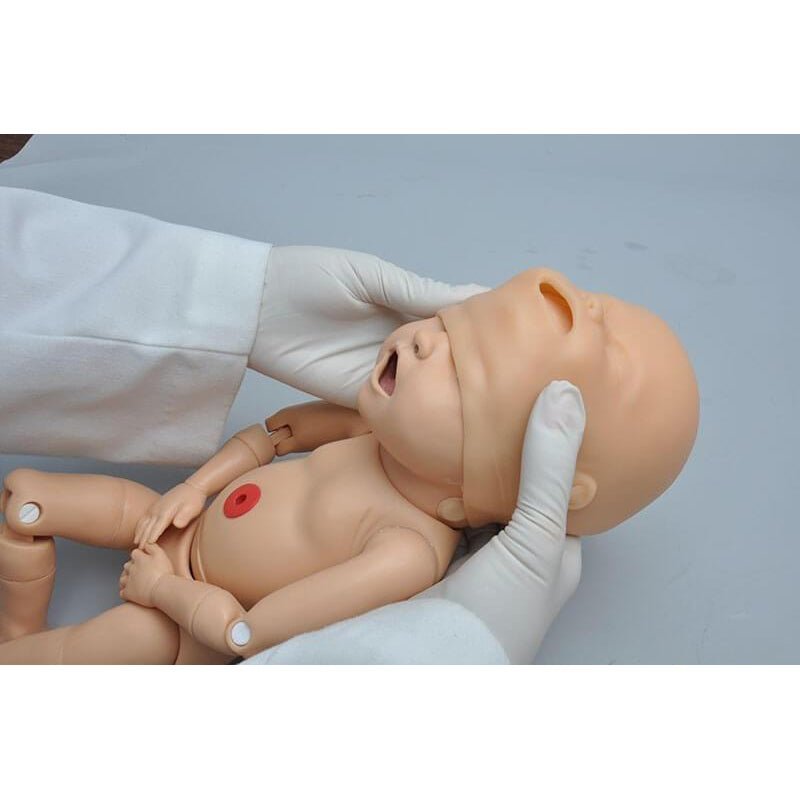 NOELLE® Maternal Birthing Simulator, Dark