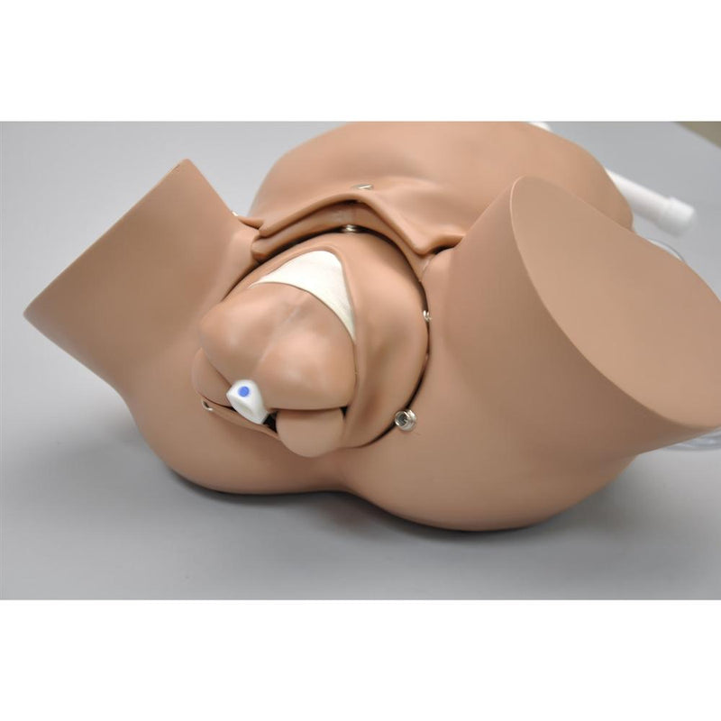 OB Susie® -  Advanced Childbirth Skills Trainer Torso, Light