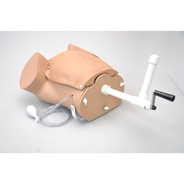 OB Susie - Advanced Childbirth Skills Trainer Torso, Light ...