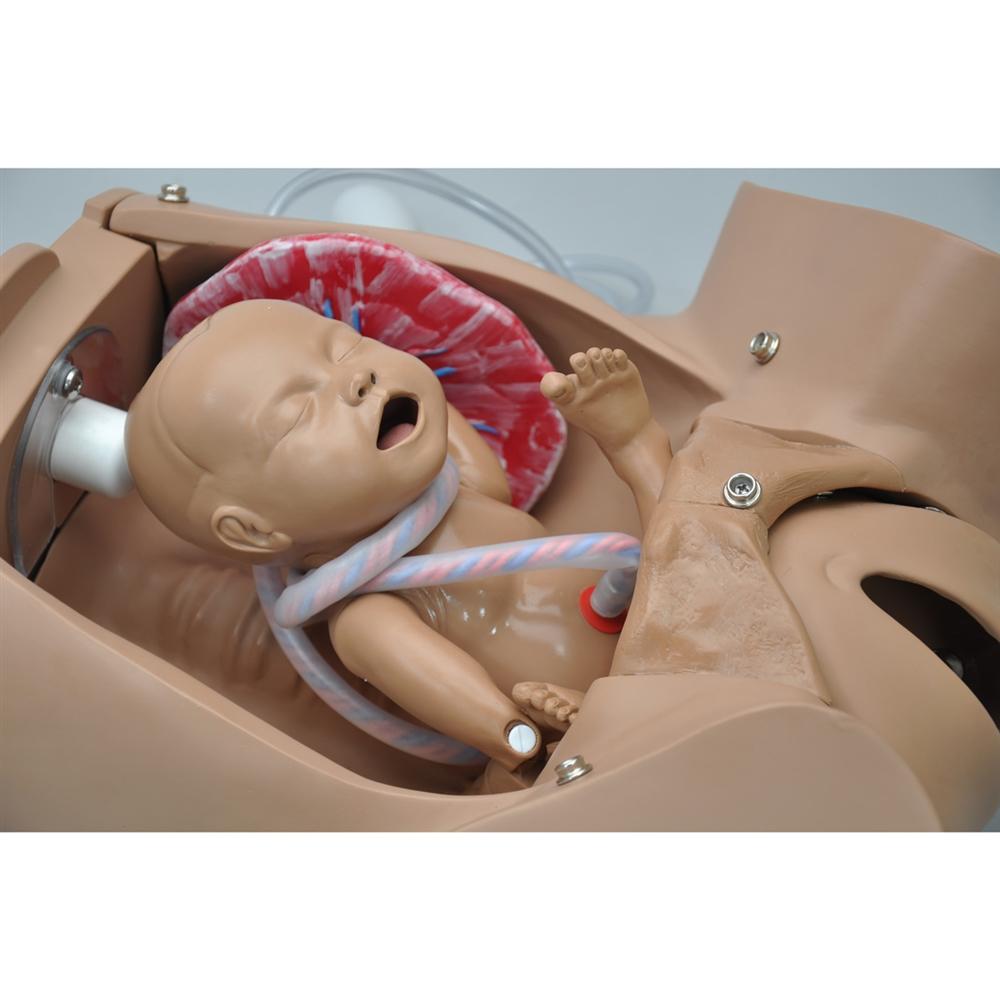 GHDE&MD Advanced Childbirth Simulator, Pregnant Woman and Baby Model,  Childbirth Skill Training Simulator