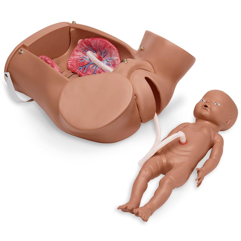 Medical Science Advanced Comprehensive Skills nursing model Training  Simulator Model Delivery Emergency Childbirth Simulator - AliExpress