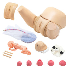 Obstetric Training Simulator - Complete Set