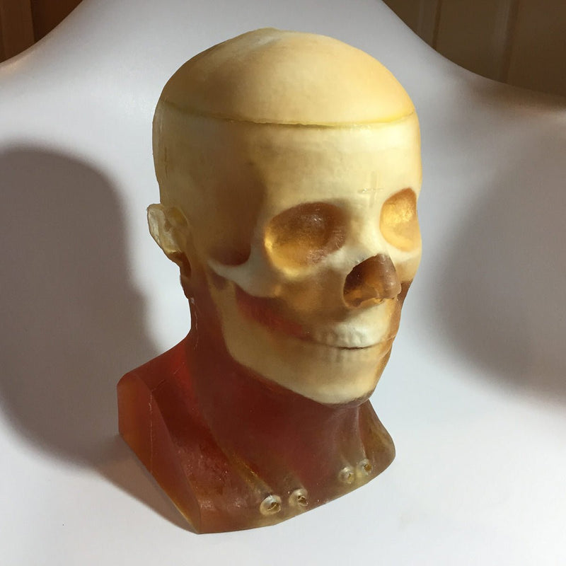 Openable Adult Head Phantom for X-Ray CT, Ultrasound and MRI