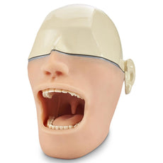Oral Anesthesia Manikin Metal Skull only, no Lights or Sound Sensors